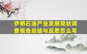 伊朗石油产业发展现状调查报告总结与反思怎么写