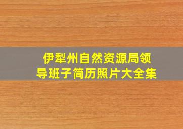 伊犁州自然资源局领导班子简历照片大全集