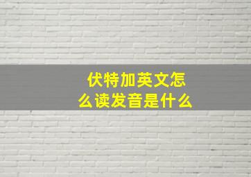 伏特加英文怎么读发音是什么