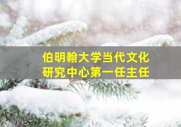 伯明翰大学当代文化研究中心第一任主任