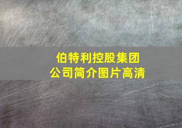 伯特利控股集团公司简介图片高清