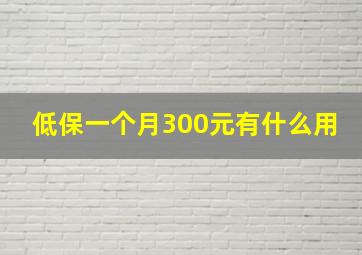 低保一个月300元有什么用