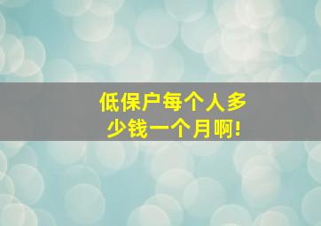 低保户每个人多少钱一个月啊!