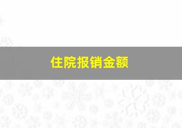 住院报销金额