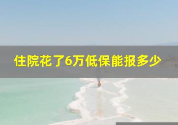 住院花了6万低保能报多少