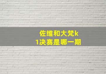 佐维和大梵k1决赛是哪一期