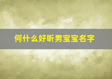 何什么好听男宝宝名字