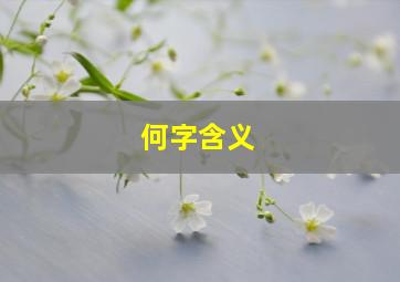 何字含义