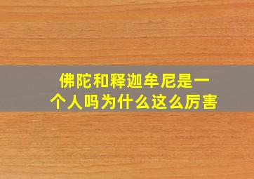 佛陀和释迦牟尼是一个人吗为什么这么厉害