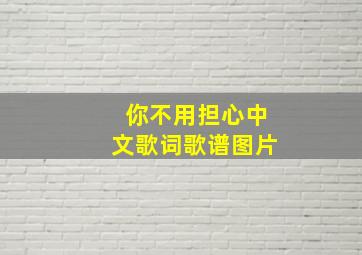 你不用担心中文歌词歌谱图片