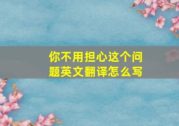 你不用担心这个问题英文翻译怎么写