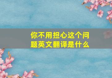 你不用担心这个问题英文翻译是什么