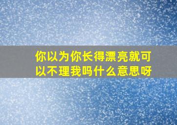 你以为你长得漂亮就可以不理我吗什么意思呀