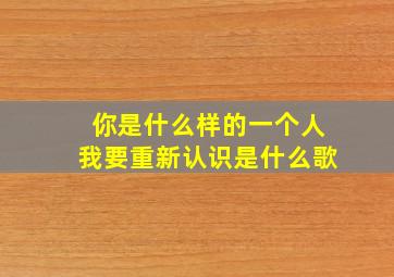 你是什么样的一个人我要重新认识是什么歌