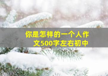 你是怎样的一个人作文500字左右初中