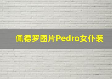 佩德罗图片Pedro女仆装