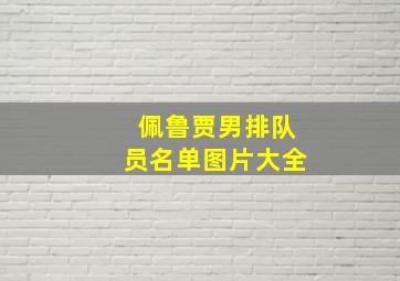 佩鲁贾男排队员名单图片大全