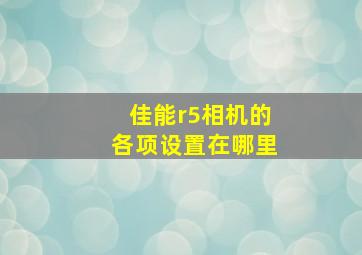 佳能r5相机的各项设置在哪里