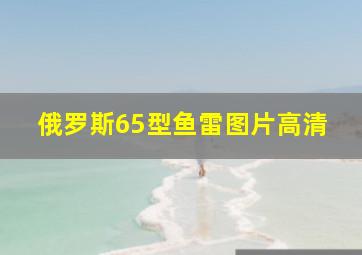 俄罗斯65型鱼雷图片高清