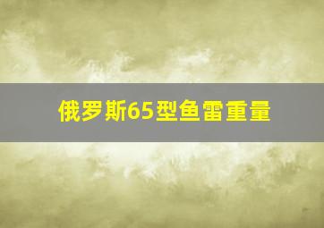 俄罗斯65型鱼雷重量