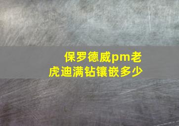 保罗德威pm老虎迪满钻镶嵌多少