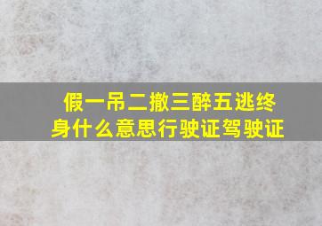 假一吊二撤三醉五逃终身什么意思行驶证驾驶证