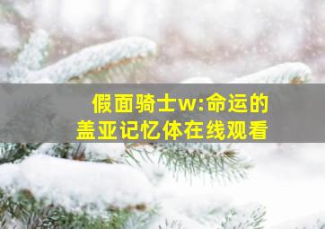 假面骑士w:命运的盖亚记忆体在线观看