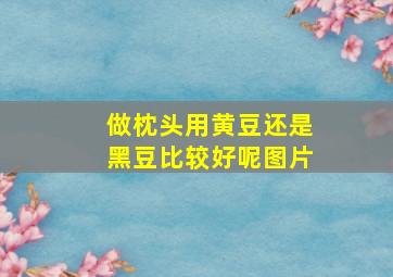 做枕头用黄豆还是黑豆比较好呢图片