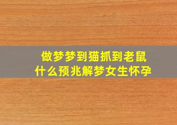 做梦梦到猫抓到老鼠什么预兆解梦女生怀孕