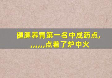 健脾养胃第一名中成药点,,,,,,,点着了炉中火