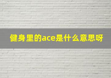 健身里的ace是什么意思呀