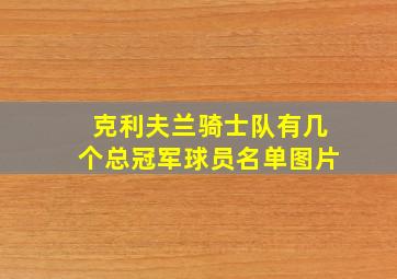 克利夫兰骑士队有几个总冠军球员名单图片