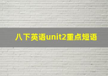 八下英语unit2重点短语