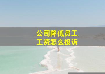 公司降低员工工资怎么投诉