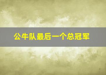 公牛队最后一个总冠军