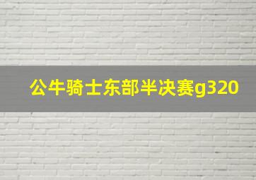 公牛骑士东部半决赛g320