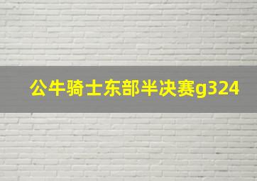 公牛骑士东部半决赛g324