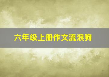 六年级上册作文流浪狗