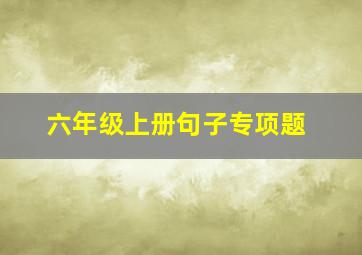 六年级上册句子专项题