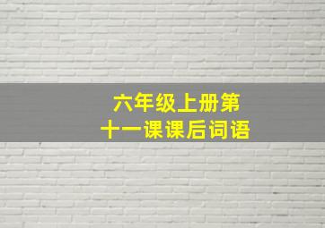 六年级上册第十一课课后词语