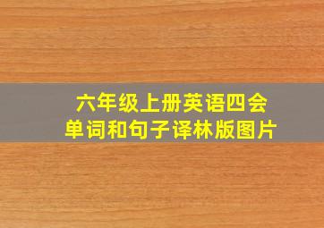 六年级上册英语四会单词和句子译林版图片