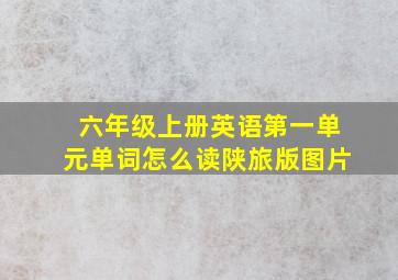 六年级上册英语第一单元单词怎么读陕旅版图片