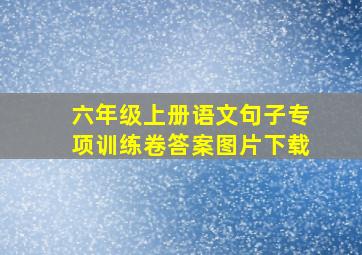 六年级上册语文句子专项训练卷答案图片下载