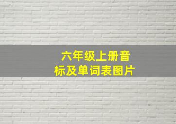 六年级上册音标及单词表图片