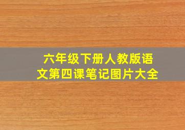 六年级下册人教版语文第四课笔记图片大全