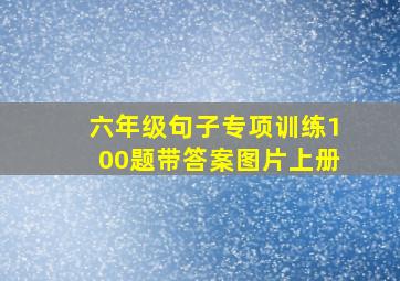 六年级句子专项训练100题带答案图片上册