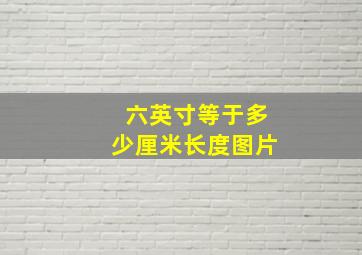 六英寸等于多少厘米长度图片