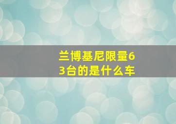 兰博基尼限量63台的是什么车