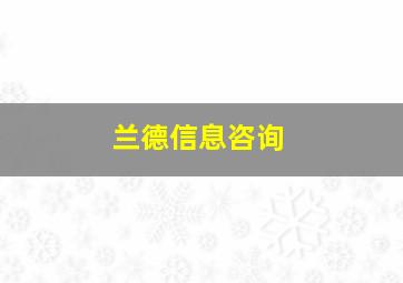 兰德信息咨询