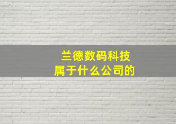 兰德数码科技属于什么公司的